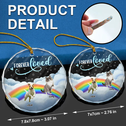 Custom Photo Forever Loved Ver 2 Pet Memorial - Personalized Circle Glass Ornament