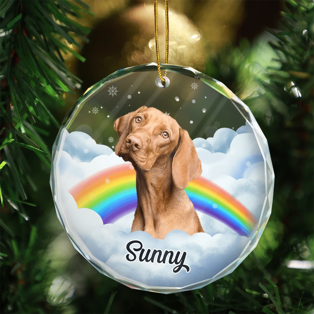 Custom Photo Pet Face Rainbow Bridge - Personalized Circle Acrylic Ornament