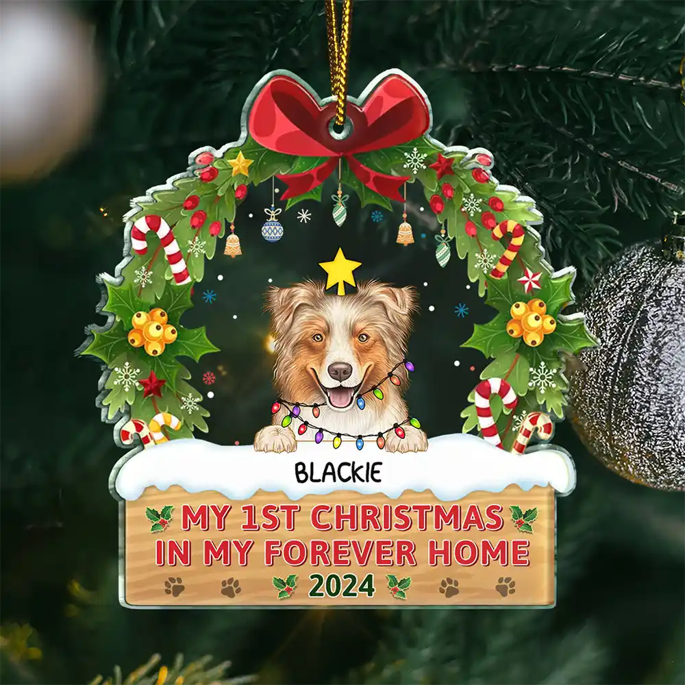 Semi Dog Cat My 1st Christmas In My Forever Home - Personalized Custom Shaped Acrylic Ornament