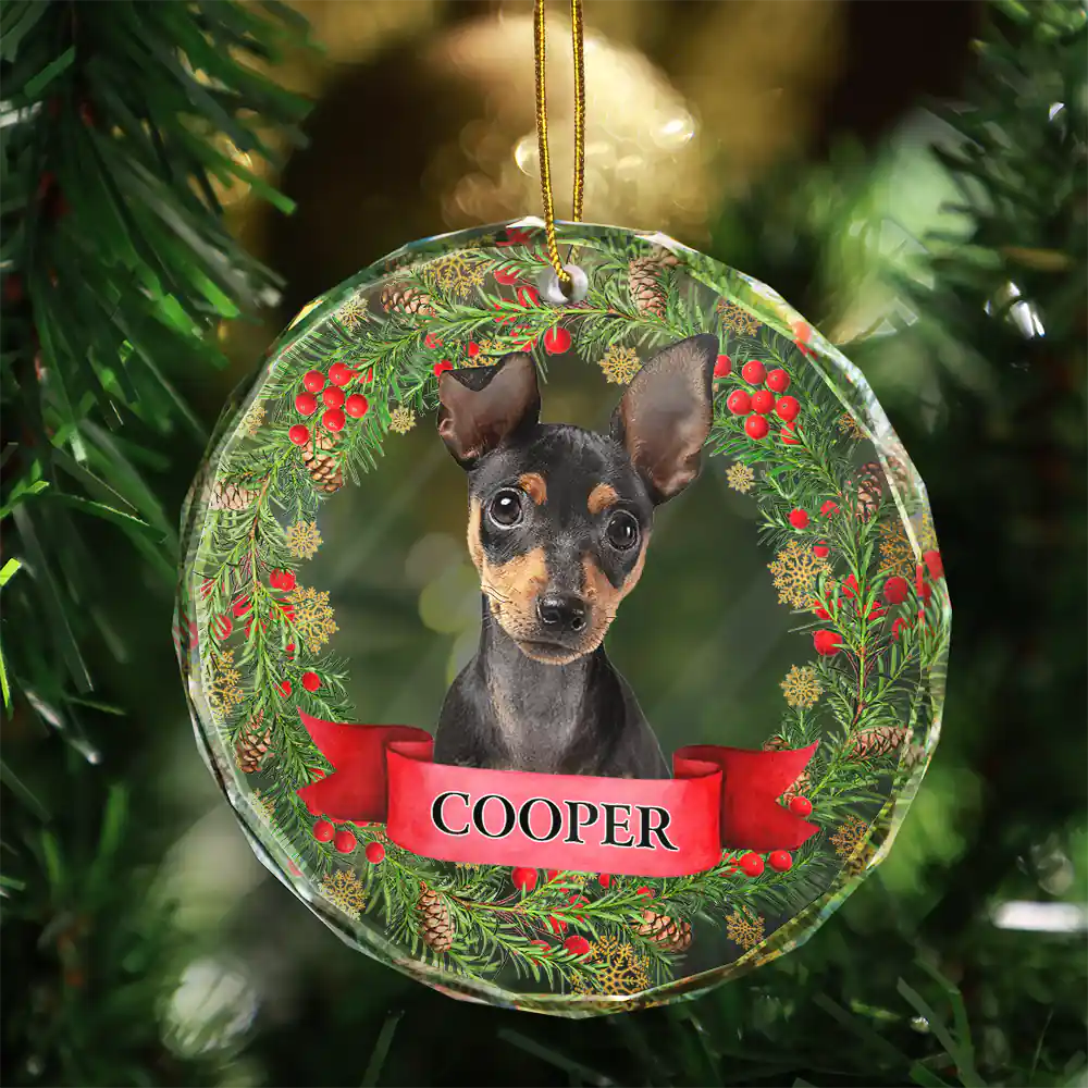 Custom Photo If Love Could Saved You Pet Lover - Personalized Circle Acrylic Ornament