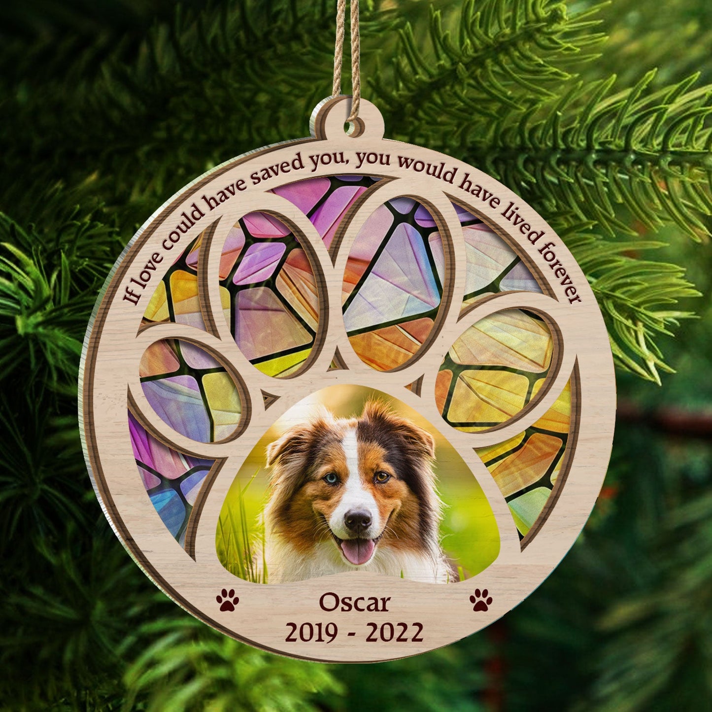 Custom Photo You Would Have Lived Forever - Christmas Gift Dog And Cat Lovers, Pet Memorial Gift - Personalized Suncatcher Ornament