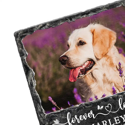 Custom Photo Forever In My Heart - Personalized Rectangle Memorial Garden Stone