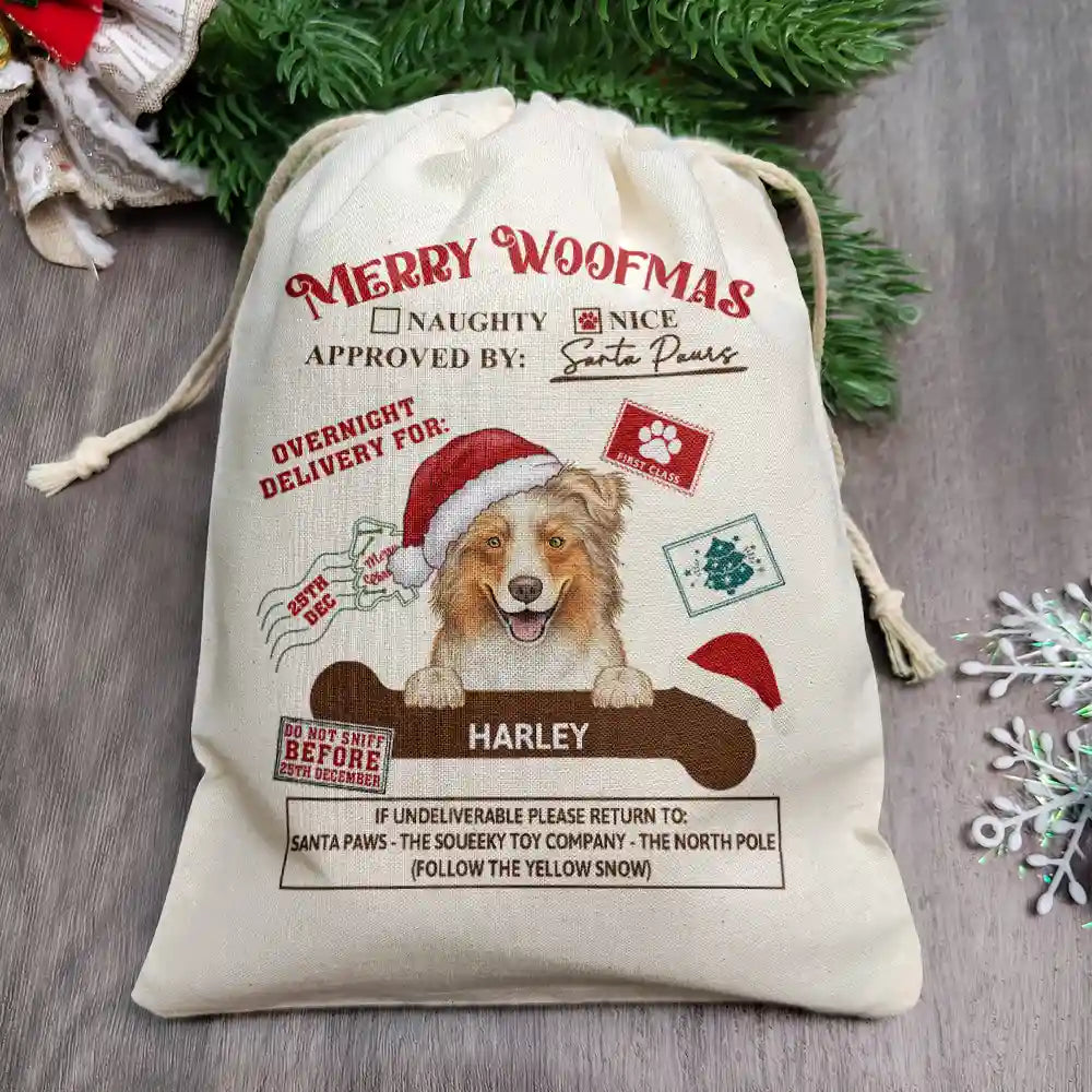 Special Delivery From Santa Paws - Personalized Favor Bag