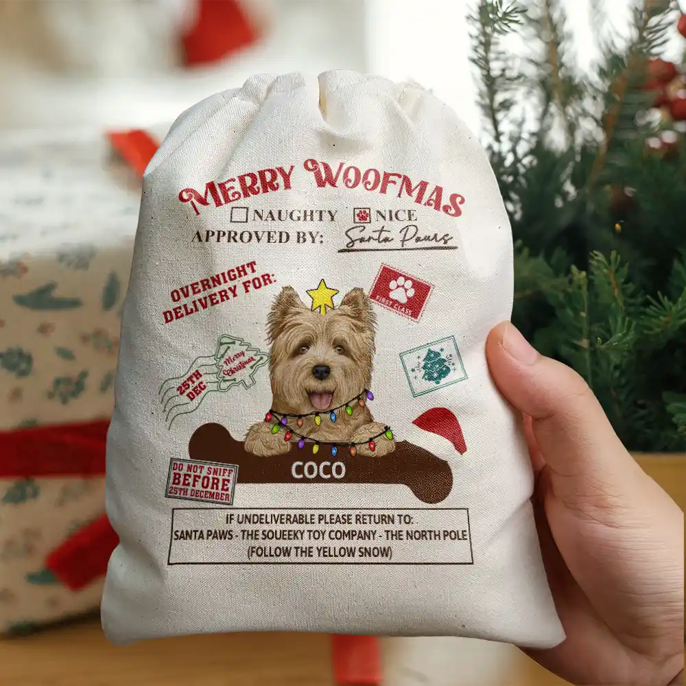 Special Delivery From Santa Paws - Personalized Favor Bag