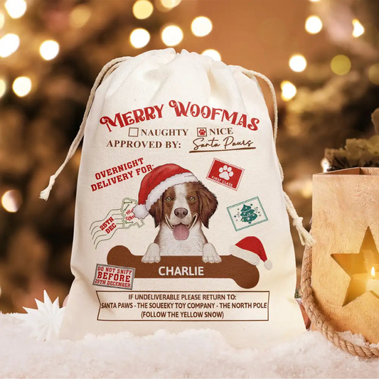 Special Delivery From Santa Paws - Personalized Favor Bag