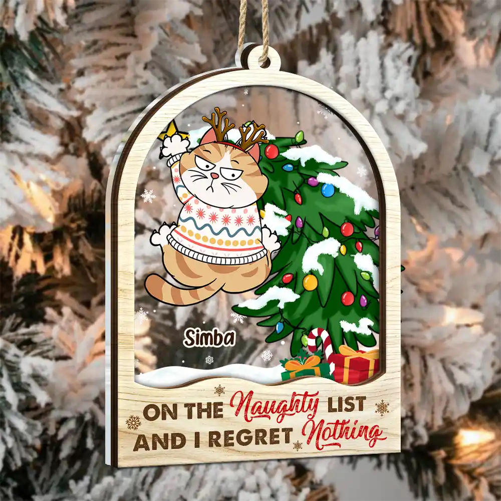 Cat Lovers, Pet Lovers - Is This Jolly Enough - Personalized 2-Layered Mix Ornament