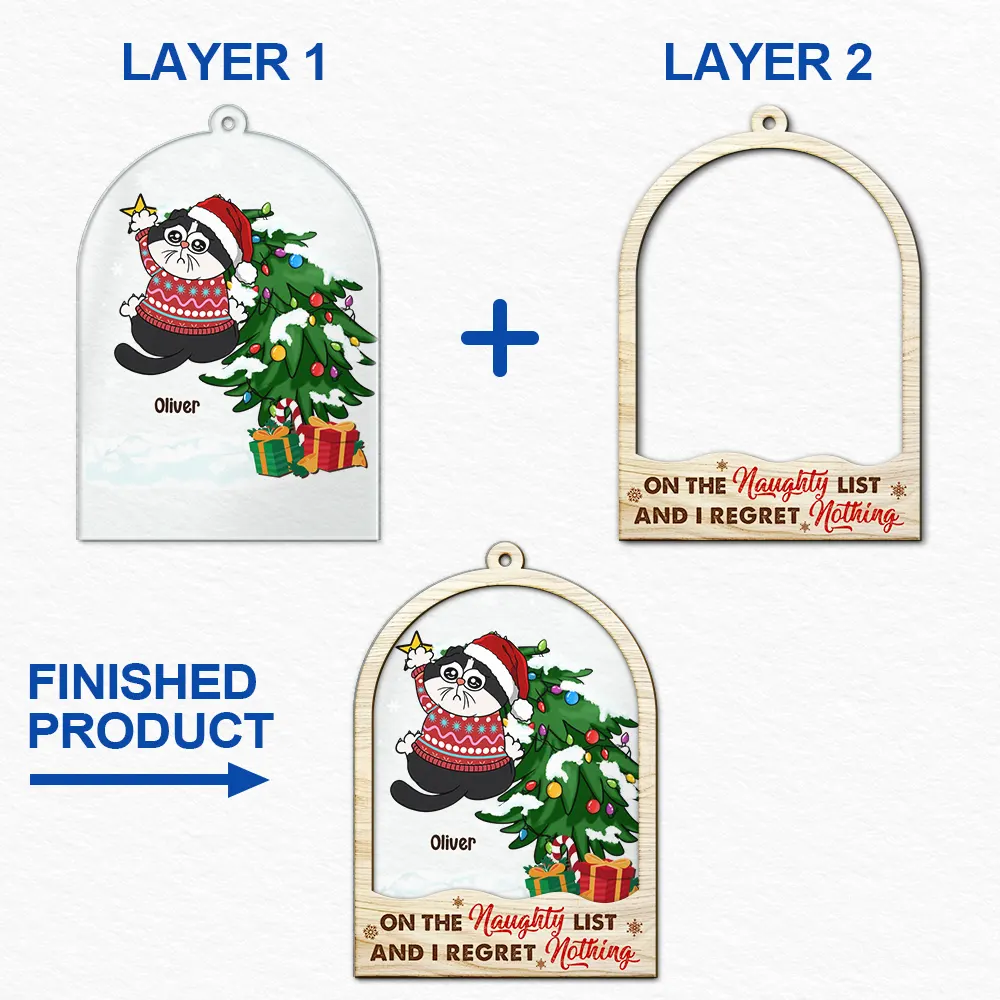 Cat Lovers, Pet Lovers - Is This Jolly Enough - Personalized 2-Layered Mix Ornament