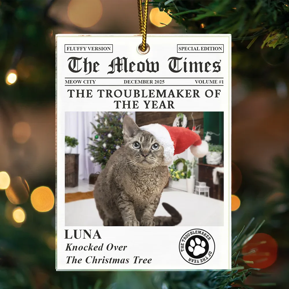 Custom Photo The Dog Times The Meow Times - Personalized Custom Shaped Acrylic Ornament