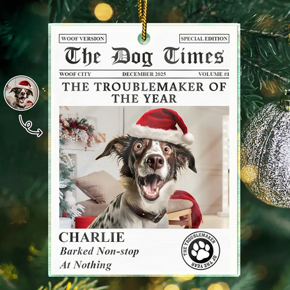 Custom Photo The Dog Times The Meow Times - Personalized Custom Shaped Acrylic Ornament