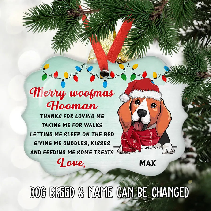 Thank You Hooman - Personalized Custom Aluminum Ornament ornament The Next Custom Gift