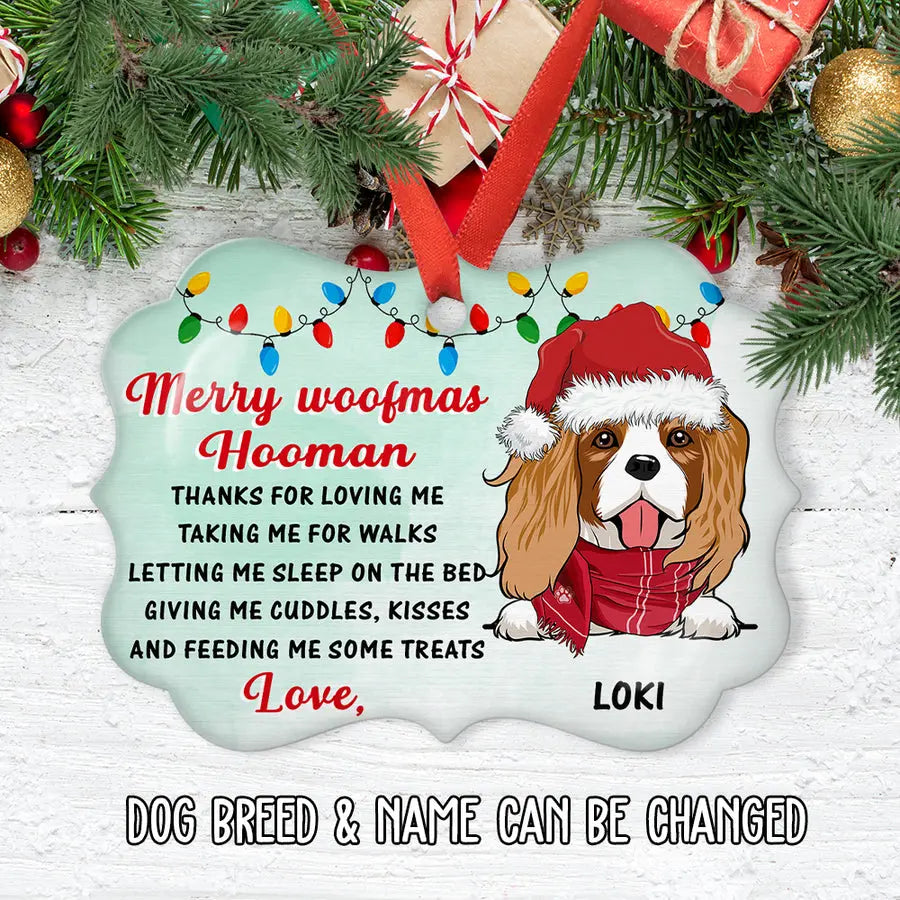 Thank You Hooman - Personalized Custom Aluminum Ornament ornament The Next Custom Gift