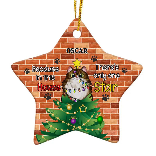 There's Only One Star - Christmas Gift For Cat Lovers - Personalized Custom Star Wood Ornament ornament The Next Custom Gift