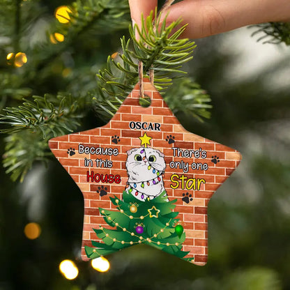 There's Only One Star - Christmas Gift For Cat Lovers - Personalized Custom Star Wood Ornament ornament The Next Custom Gift