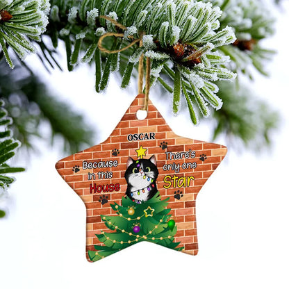 There's Only One Star - Christmas Gift For Cat Lovers - Personalized Custom Star Wood Ornament ornament The Next Custom Gift