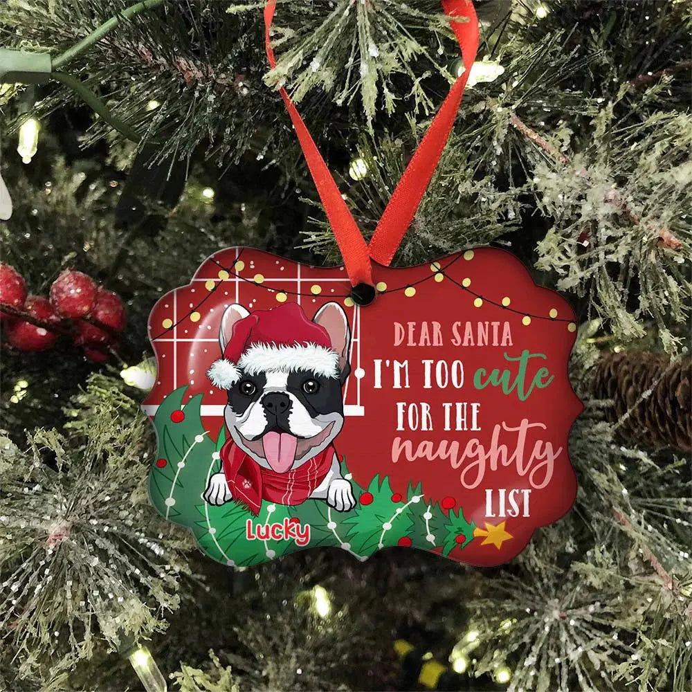 Too Cute For The Naughty List - Personalized Custom Acrylic Ornament Ornament The Next Custom Gift