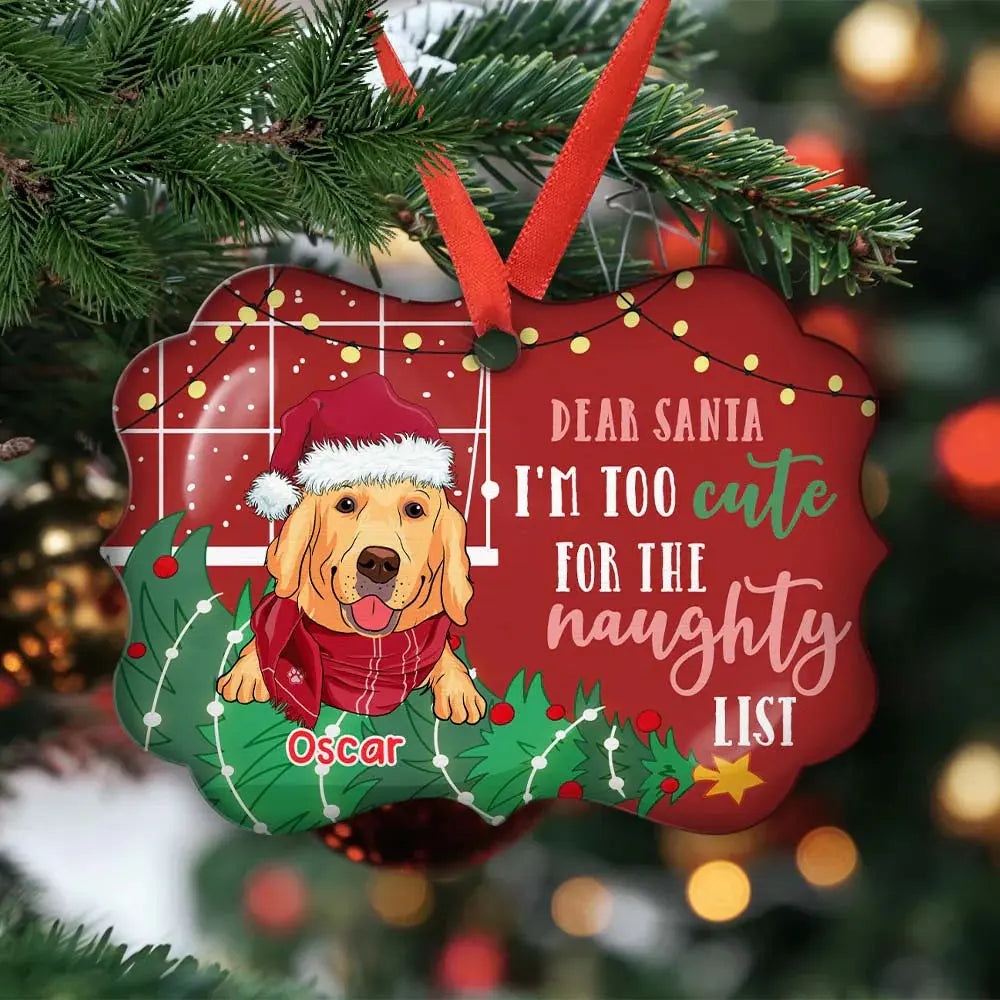 Too Cute For The Naughty List - Personalized Custom Acrylic Ornament Ornament The Next Custom Gift