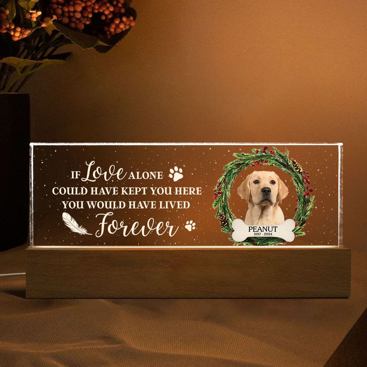 Picture Frame Memorial Personalized Acrylic LED Night Light, Heartfelt Decoration for Loss of Loved One, Gift For Dog Mom, Cat Mom