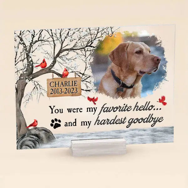 You Were My Favorite Hello And My Hardest Goodbye - Personalized Acrylic Photo Plaque Acrylic Plaque The Next Custom Gift