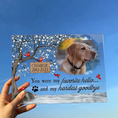 You Were My Favorite Hello And My Hardest Goodbye - Personalized Acrylic Photo Plaque Acrylic Plaque The Next Custom Gift