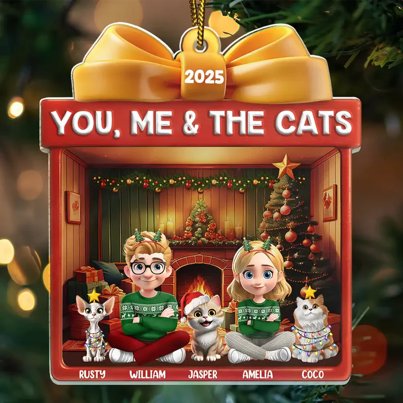 You Me And The Cat Christmas Box - Personalized Custom Shaped Acrylic Ornament