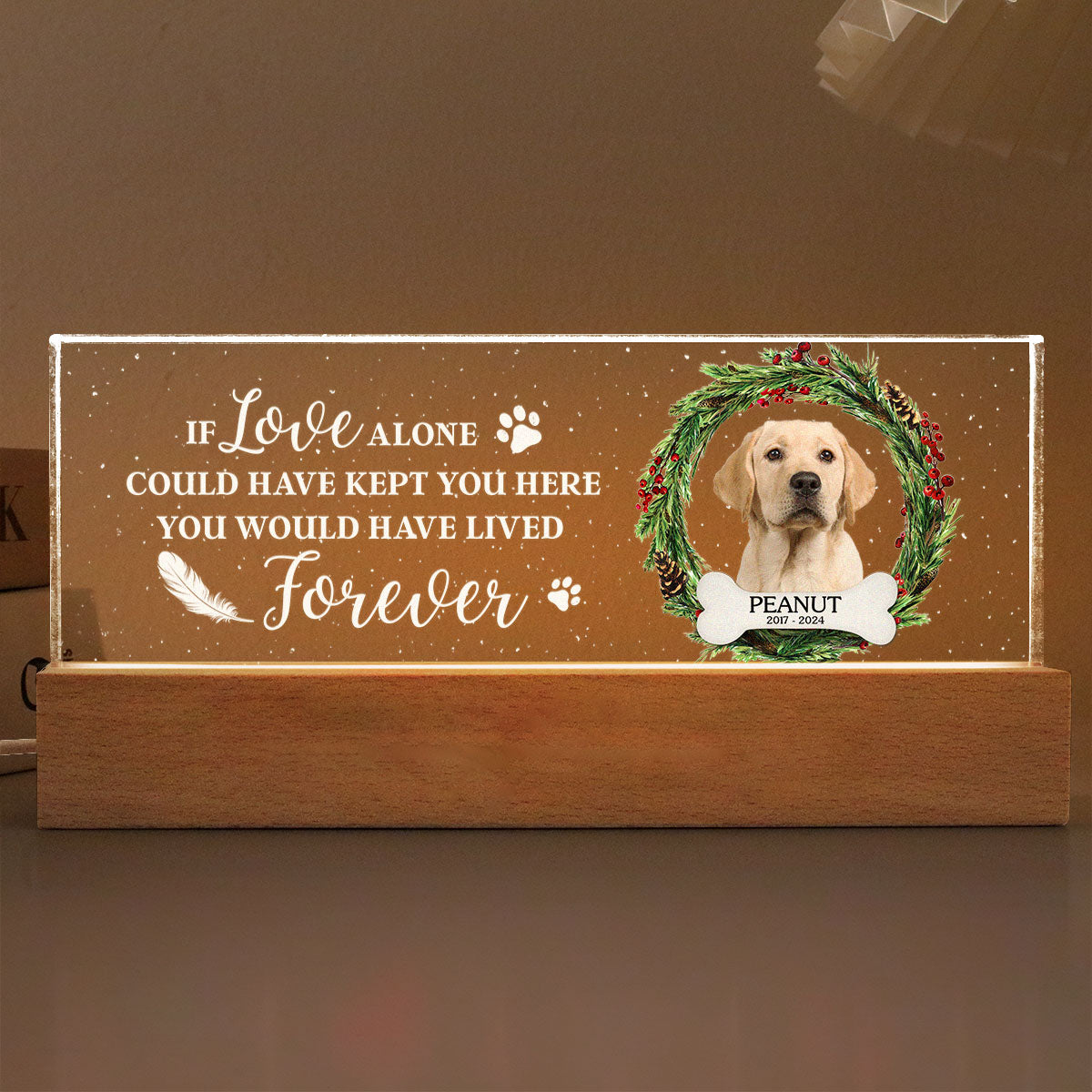 Picture Frame Memorial Personalized Acrylic LED Night Light, Heartfelt Decoration for Loss of Loved One, Gift For Dog Mom, Cat Mom