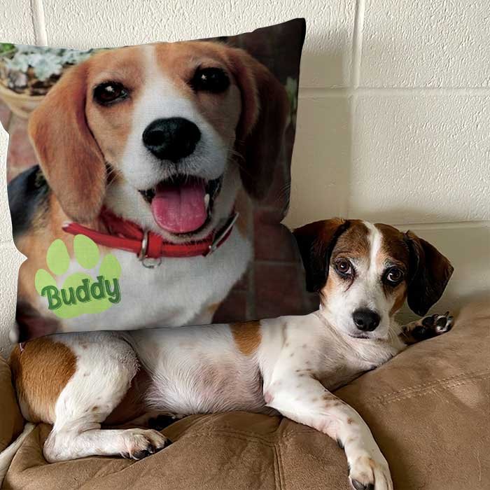 Dogs Lovers - Personalized Pet Pillow, Custom Pillows with Picture - Personalized Pillow - The Next Custom Gift