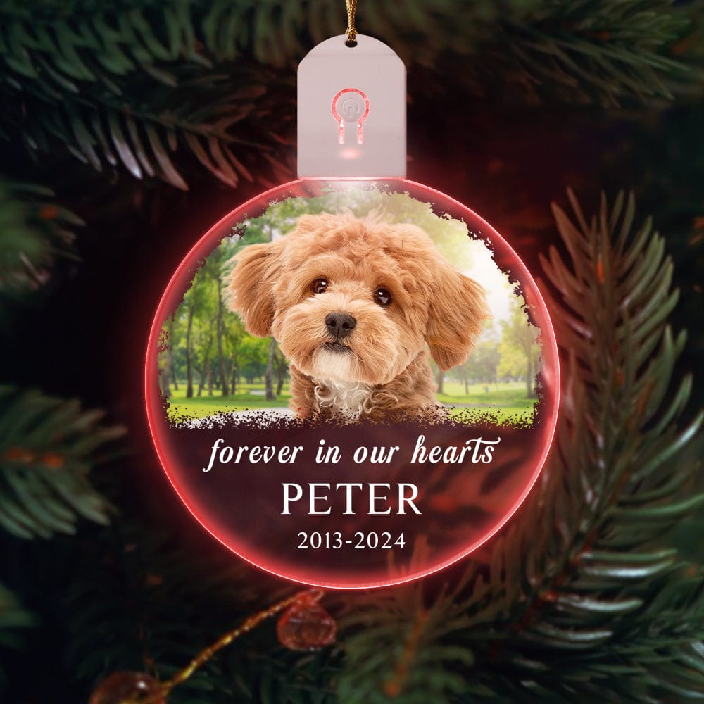 GeckoCustom Custom Dog Photo Forever in Our Heart Memorial Circle Led Acrylic Ornament HO82 893216 3 inches