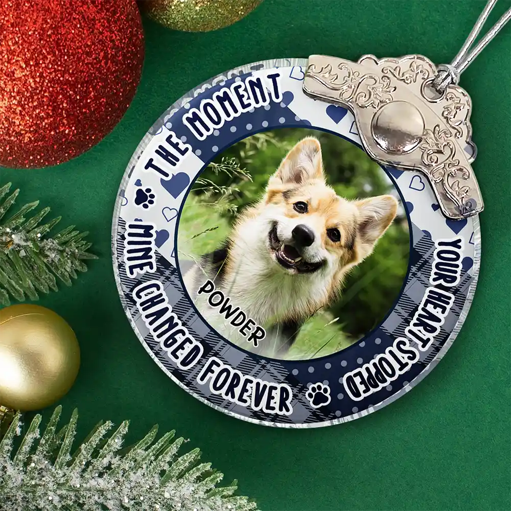 Custom Photo You Were Favorite Hello Memorial Pet - Personalized Acrylic Ornament