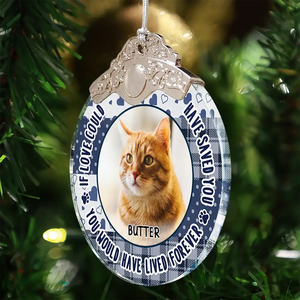 Custom Photo You Were Favorite Hello Memorial Pet - Personalized Acrylic Ornament