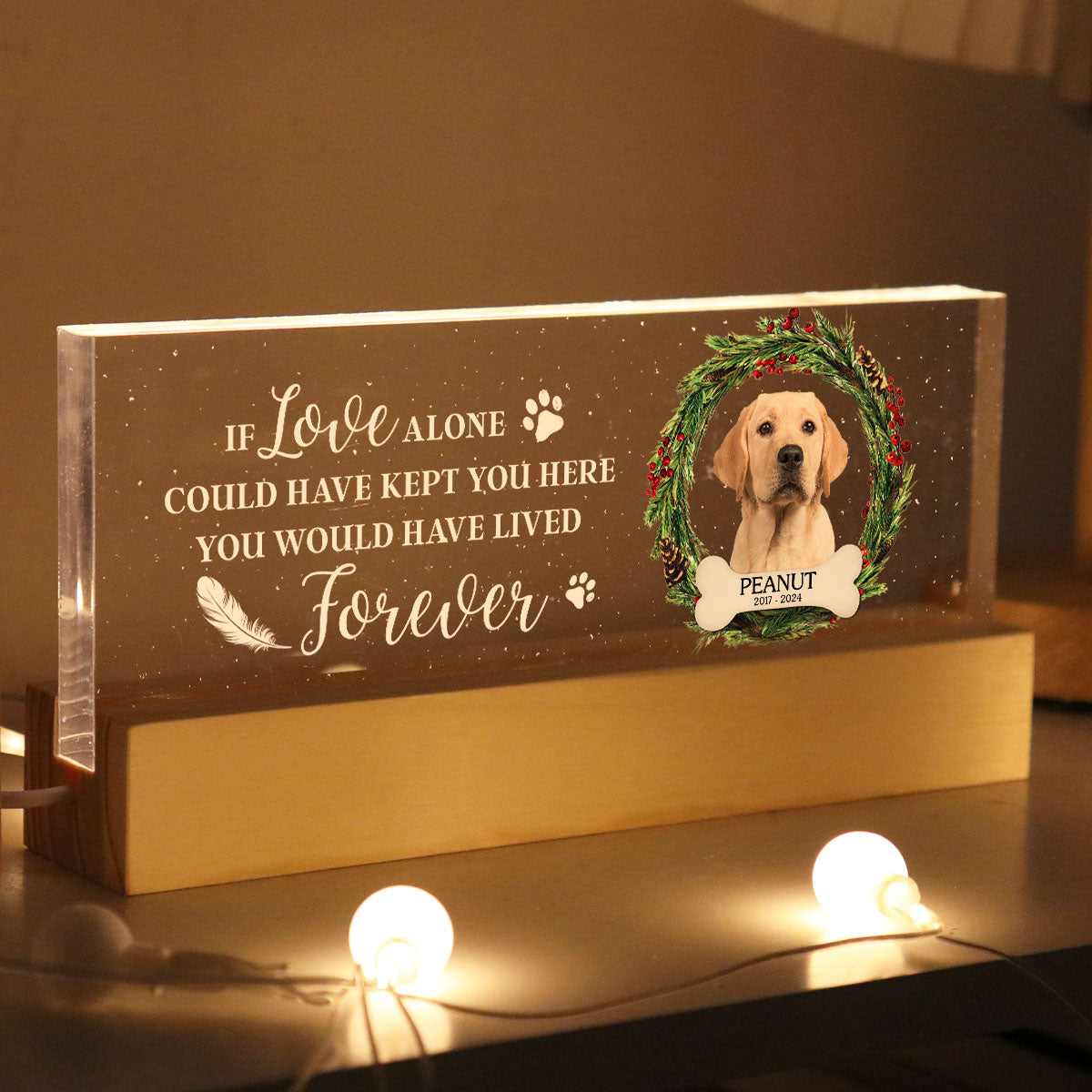Picture Frame Memorial Personalized Acrylic LED Night Light, Heartfelt Decoration for Loss of Loved One, Gift For Dog Mom, Cat Mom