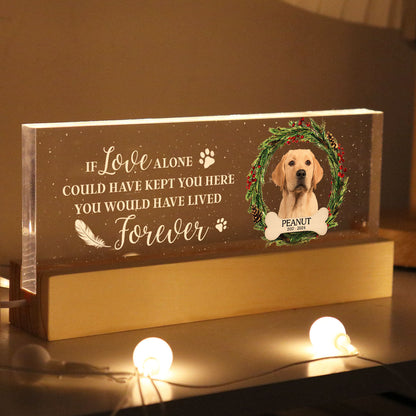 Picture Frame Memorial Personalized Acrylic LED Night Light, Heartfelt Decoration for Loss of Loved One, Gift For Dog Mom, Cat Mom