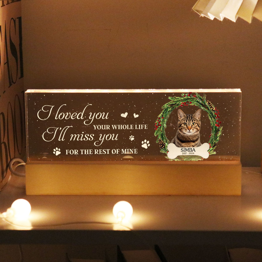 Picture Frame Memorial Personalized Acrylic LED Night Light, Heartfelt Decoration for Loss of Loved One, Gift For Dog Mom, Cat Mom