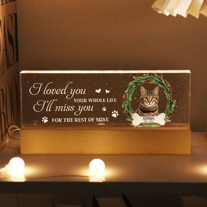 Picture Frame Memorial Personalized Acrylic LED Night Light, Heartfelt Decoration for Loss of Loved One, Gift For Dog Mom, Cat Mom
