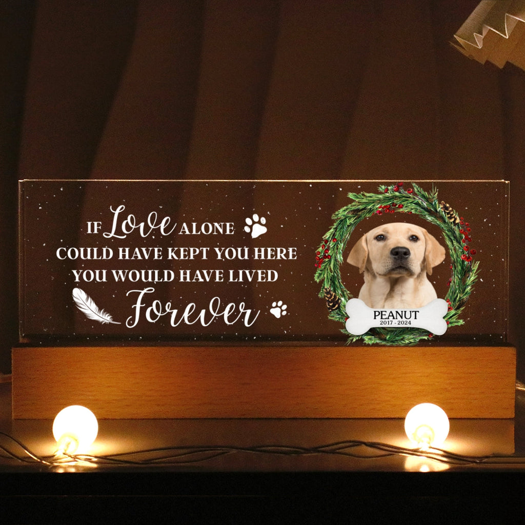 Picture Frame Memorial Personalized Acrylic LED Night Light, Heartfelt Decoration for Loss of Loved One, Gift For Dog Mom, Cat Mom