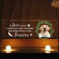 Picture Frame Memorial Personalized Acrylic LED Night Light, Heartfelt Decoration for Loss of Loved One, Gift For Dog Mom, Cat Mom