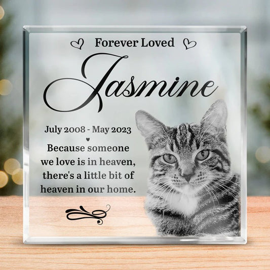 Pet Lover - Someone We Love Is In Heaven - Personalized Acrylic Plaque(NV) - The Next Custom Gift