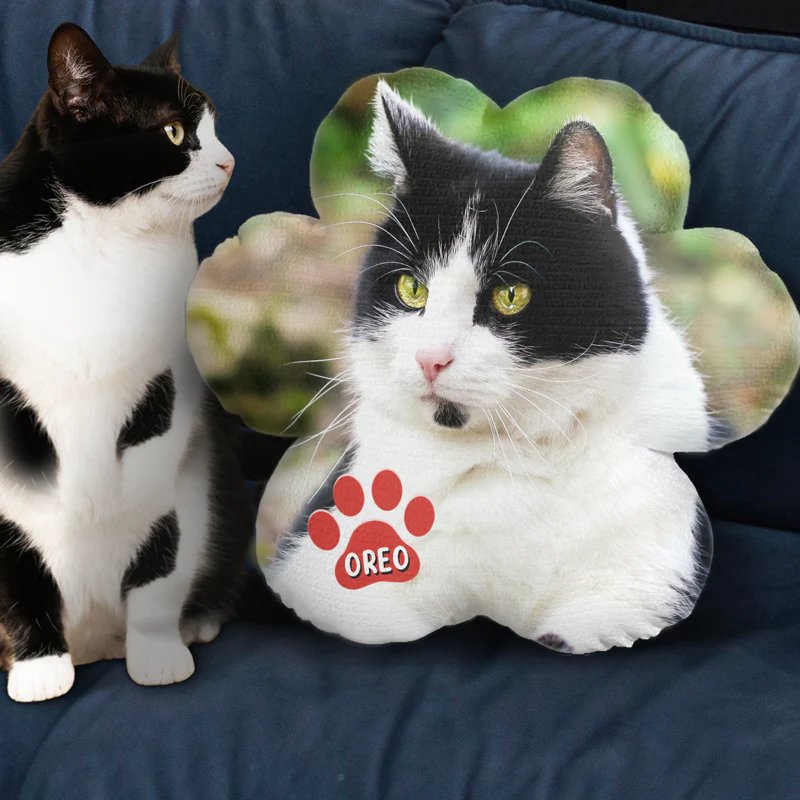 Pet Lovers - Custom Photo Dogs Own Space And Cats Own Time - Personalized Custom Shaped Pillow (AQ) - The Next Custom Gift