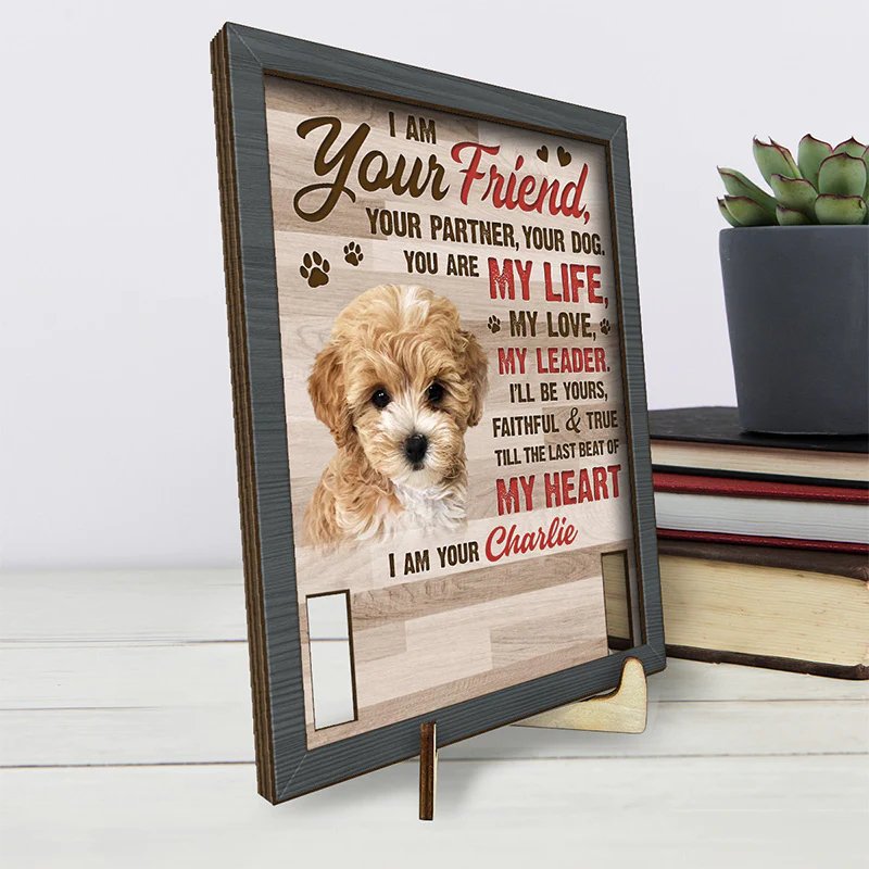 Pet Lovers - Custom Photo Friendship Survives Death - Personalized Custom Pet Loss Sign, Collar Frame With Stand (VT) - The Next Custom Gift