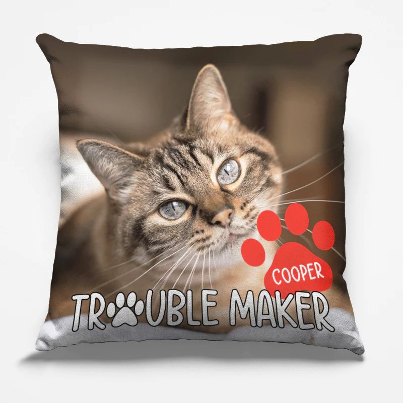 Pet Lovers - Custom Photo Trouble Maker - Personalized Custom Pillow (AQ) - The Next Custom Gift