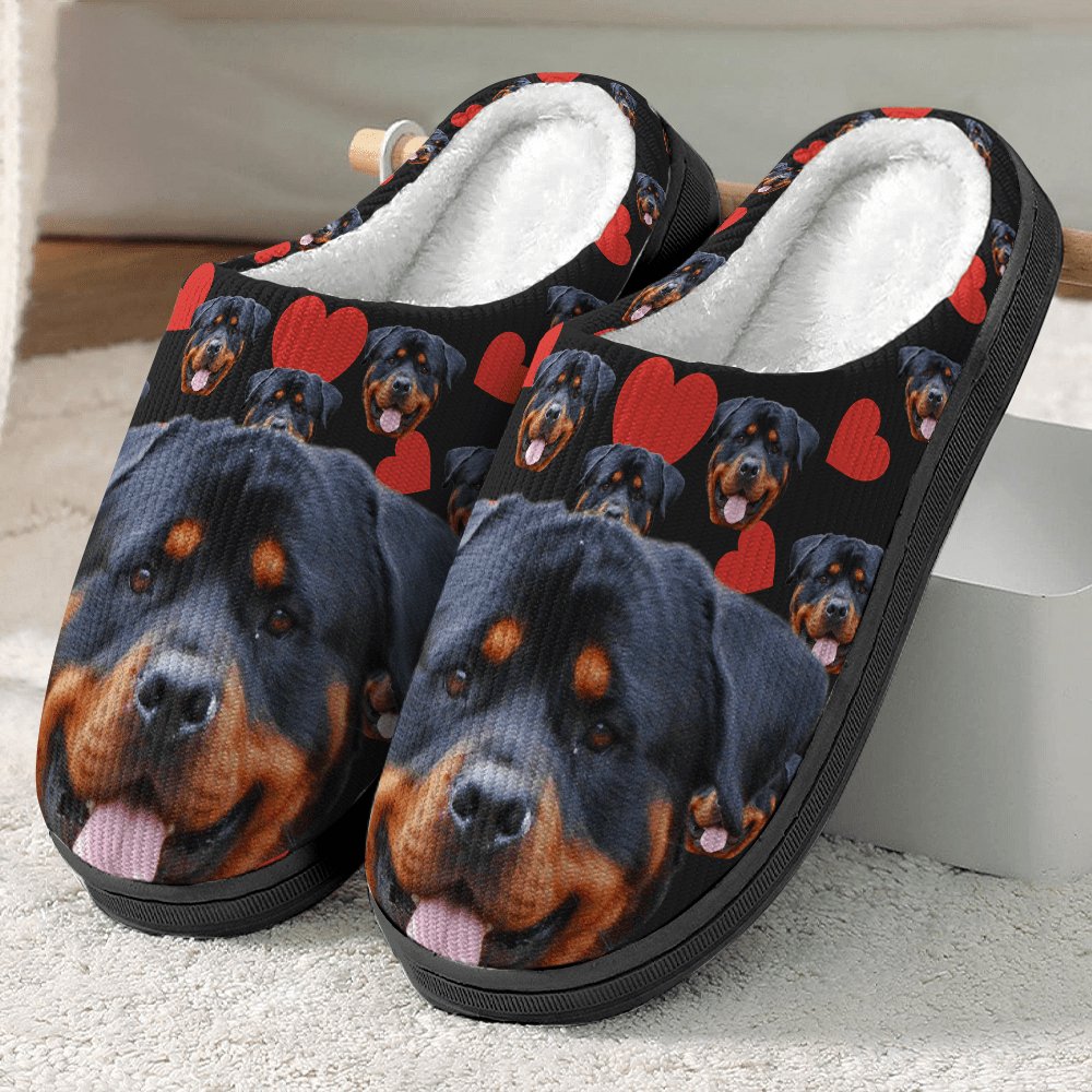 Pet Lovers - Dog Cat And Accessories - Personalized Slippers - The Next Custom Gift