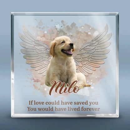 Pet Lovers - You Left Paw Prints On Our Hearts - Personalized Acrylic Plaque - The Next Custom Gift