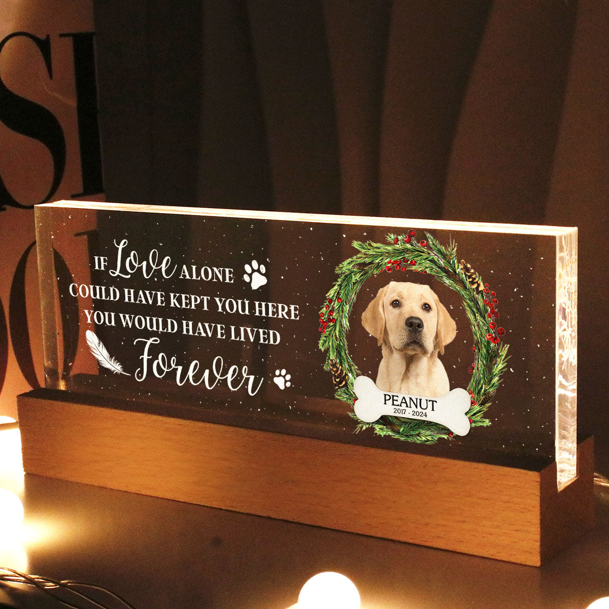Picture Frame Memorial Personalized Acrylic LED Night Light, Heartfelt Decoration for Loss of Loved One, Gift For Dog Mom, Cat Mom