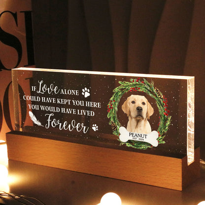 Picture Frame Memorial Personalized Acrylic LED Night Light, Heartfelt Decoration for Loss of Loved One, Gift For Dog Mom, Cat Mom