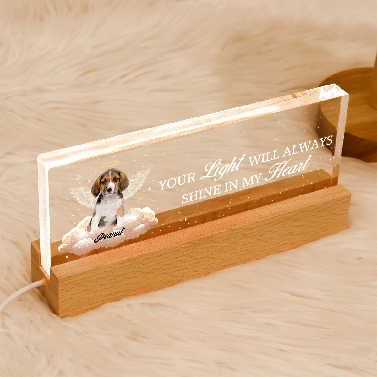 Your Light Will Always Shine In My Heart Personalized Acrylic Block LED Night Light, Sympathy Gift For Pet Owners
