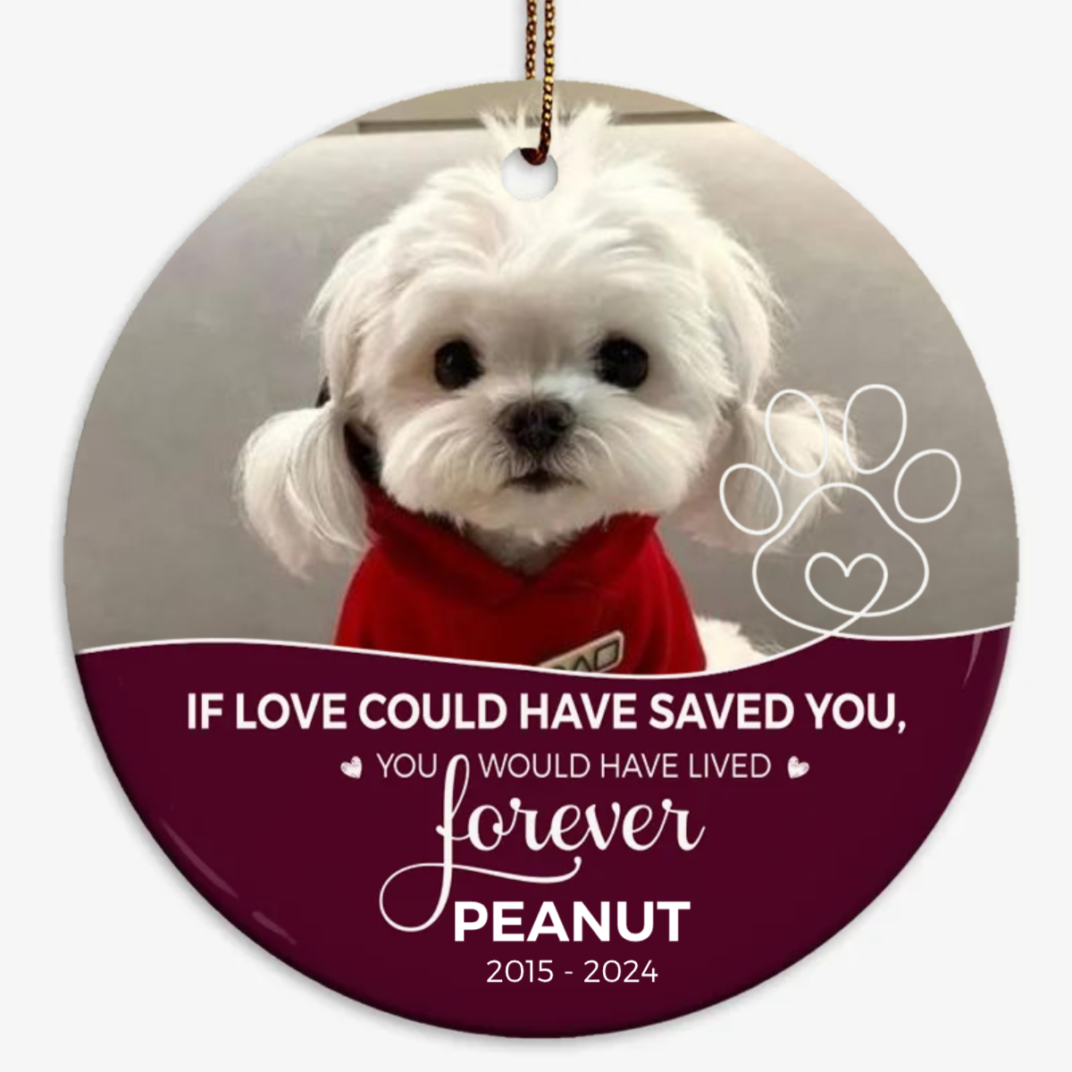 Dog Cat Memorial If Love Could Have Saved You Half Photo Circle Personalized Decorative Christmas Ornament