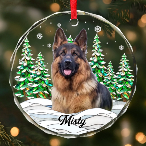 Custom Photo Circle Acrylic Ornament - Personalized Pet Christmas Memorial Sympathy Gifts For Dogs, Cats - Silent Whiskers Echo With Love