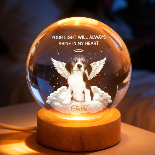 Your Light Will Always Shine in My Heart Pet Memorial - Personalized Crystal Ball LED Night Light - Heartfelt Remembrance Keepsake