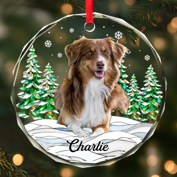 Custom Photo Circle Acrylic Ornament - Personalized Pet Christmas Memorial Sympathy Gifts For Dogs, Cats - Silent Whiskers Echo With Love
