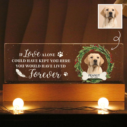 Picture Frame Memorial Personalized Acrylic LED Night Light, Heartfelt Decoration for Loss of Loved One, Gift For Dog Mom, Cat Mom