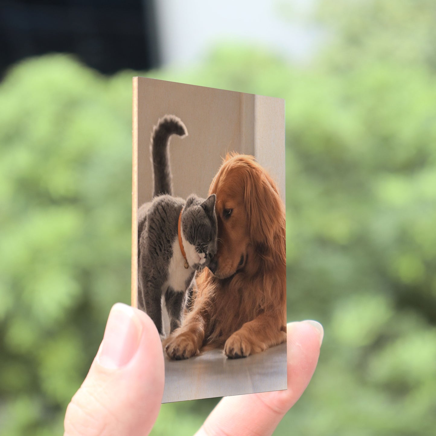 Once By My Side, Forever In My Heart, Heartfelt Memorial Gift For Pet Lovers, Pet Loss Personalized Picture Frame, Custom Photo Car Visor Clip